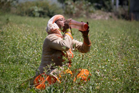 Dehradun, Uttarakhand/India - September 10 2020:A Women drinking water while working in fields.のeditorial素材