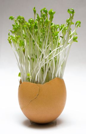 Spring Easter Eggの写真素材