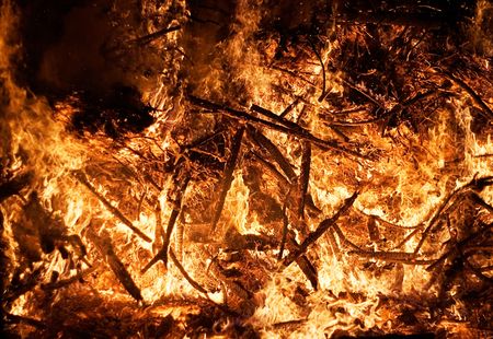 Forest Fire (Close View)