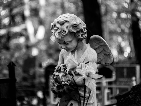 Cemetery's bloomの写真素材