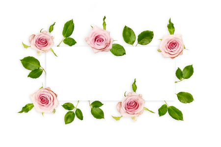 Frame with fresh pink roses and green leaves isolated on white, top view. Beautiful rose flowers background with empty space for text.の写真素材
