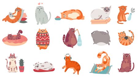 Cute cats. Funny cat in box, adorable sleeping kitty and fat cat in sweater vector illustration set. Domestic kitten lifestyle. Humorous pet working on laptop, doing yoga, listening to music stickersのイラスト素材