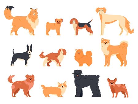 Dogs breed character. Purebred dog , cute puppy pug, beagle, welsh corgi and bull terrier, funny domestic pets vector isolated illustration icons set. Human companion. Cartoon animal bundleのイラスト素材