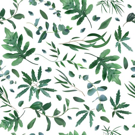 Realistic plants pattern. Seamless leaves eucalyptus, fern plant pattern, greenery foliage texture vector background. Ecological backdrop, tropical natural plant illustrationのイラスト素材