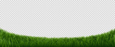 Realistic grass border. Green herb lawn, garden herb plants frame, fresh lawn border element vector background. Horizontal border lawn grass, meadow field green illustrationのイラスト素材