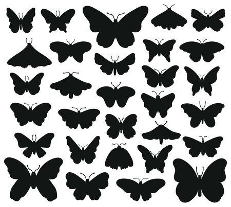Butterflies silhouettes. Hand drawn butterfly, drawing insect graphic. Black drawing butterflies silhouettes isolated vector illustration set. Insect butterfly black silhouette, hand drawn formのイラスト素材
