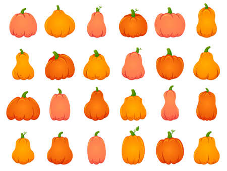 Halloween fall pumpkins. Cartoon traditional decoration, holiday orange pumpkin, october Halloween harvest isolated vector illustration icons set. Halloween vegetable traditional, holiday celebrationのイラスト素材