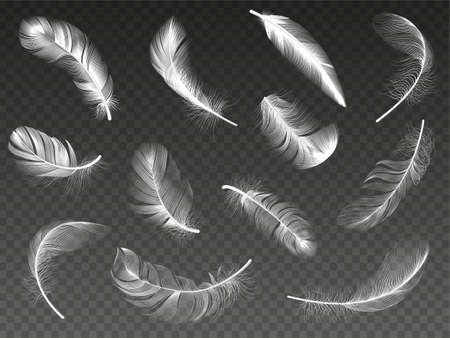 White realistic feather. Fluffy angel twirled feathers, 3d bird feather, swan or dove wings plumage isolated vector illustration icons set. Realistic white swan and fluffy, feather fallingのイラスト素材