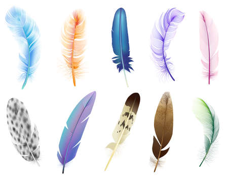 Realistic 3d feathers. Birds colored falling fluffy feathers, floating bird soft plumage feathers isolated vector icons set. Fluffy and plumage, feather falling illustrationのイラスト素材