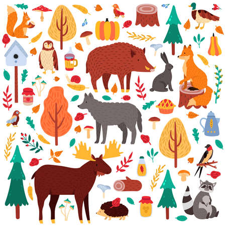 Cartoon autumn animals. Cute woodland birds and animals, moose duck wolf and squirrel, wild woods fauna isolated vector illustration icons set. Raccoon and hog, rabbit, tree woodland, bird and bearのイラスト素材