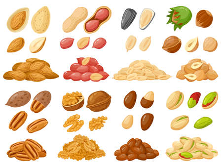 Cartoon nuts. Almond, peanut, cashew, hazelnut nuts, sunflower seed and pistachio, nut food isolated vector illustration icons set. Nuts heaps in shell on white. Organic healthy products for snackのイラスト素材