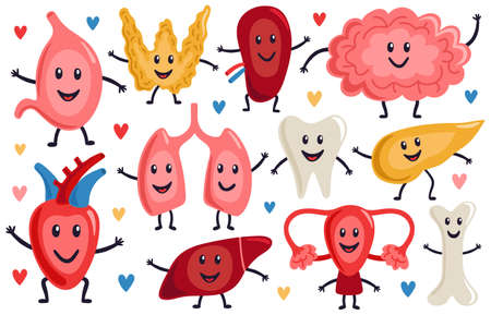 Cute internal organs. Healthy funny heart, stomach, lungs and brain, medicine human organs characters, biological organ vector illustration set. Healthy strong organs with happy facesのイラスト素材