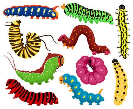 Cartoon caterpillars. Cute summer insects, spring colorful caterpillar. Pretty caterpillar mascots isolated vector illustration set. Caterpillar wildlife mascot, small maggot moveのイラスト素材