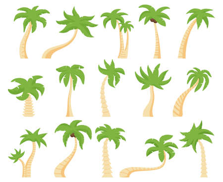 Tropical palms. Green floral palm tree, exotic coconut palm. Exotic hawaiian green palm tree isolated vector illustration set. Tree palm floral, summer exotic tropical plantのイラスト素材