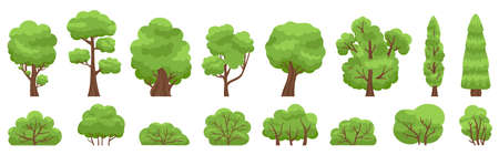 Green trees. Forest or garden bush and tree, woody foliage green branches. Nature forest and park green trees vector illustration set. Bush green and trees environment shapeのイラスト素材