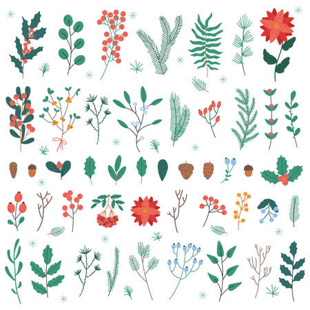 Christmas plants and flowers. Xmas and New Year winter holidays decoration leaves, flowers and berries vector illustration set. Christmas floral elementsのイラスト素材