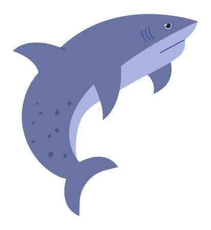 Dangerous sea predator character isolated on whiteのイラスト素材