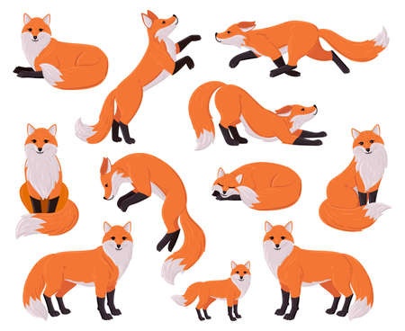 Cartoon foxes, forest red cute fox character. Woodland animal, forest wildlife predator sleeping,...