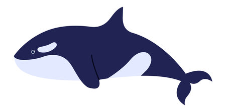 Killer whale cartoon sea character isolated on whiteのイラスト素材