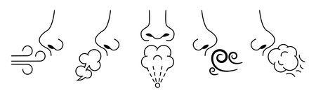 Sniff nose. Sense of smell, human breath and smelling. Inhale air and aromas vector Illustration setのイラスト素材