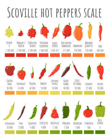 Scoville hot peppers scale. Hot pepper chart, spicy level and scovilles heat units poster vector illustrationのイラスト素材