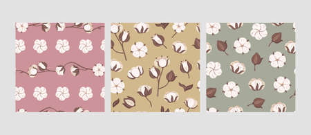Cotton flower pattern. Soft bolls of blooming flowers, organic agricultural products and seamless...