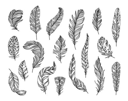 Sketch ethnic feathers. Hand drawn bird feather, light and soft plume. Tribal line art vector illustration setのイラスト素材