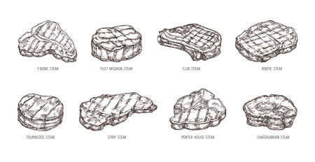 Sketch steak. Hand drawn beef food, engraving bbq meat strip, club and ribeye steaks vector setのイラスト素材