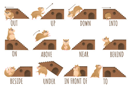 Learn prepositions of place and movement. Hamster character in different positions, cute animal educational cartoon vector Illustration setのイラスト素材