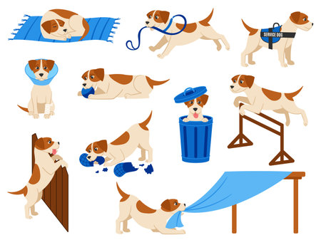 Funny cartoon dog scenes. Cute beagle pup plays with ball, service dog and injured pet. Puppy misbehaving, jumps and sleep vector illustration setのイラスト素材