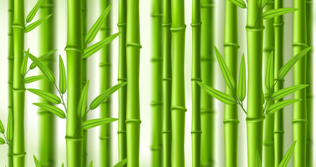 Bamboo background. Lush bamboo zen grove, natural green stems wall with leaves vector illustration backdropのイラスト素材