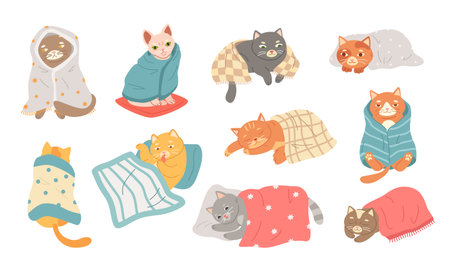 Cute cat sleeping under blanket. Cozy domestic kitten, adorable felines wrapped in blankets and enjoying peaceful slumber vector setのイラスト素材