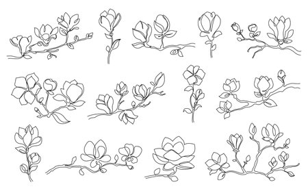 One line magnolia flowers. Blooming magnolia branches, minimalist floral spring-themed art hand drawn vector illustration setのイラスト素材