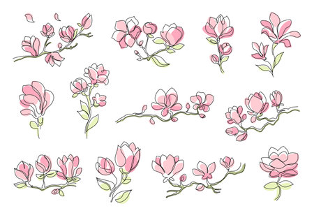 Magnolia flowers. Delicate floral line art, blooming magnolia branches for spring-themed wedding invitations or greeting cards designs. Decorative vector setのイラスト素材