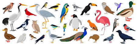Birds big set. Bright flying characters, wildlife and exotic animals. Fauna species with woodpecker, flamingo, gooseのイラスト素材