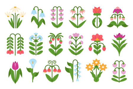 Abstract flowers. Symmetrical floral doodles, spring snowdrop, daisies, tulips and bluebells plants with flower and leaves. Botanical decorations vector illustrations setのイラスト素材