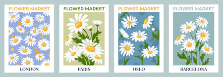 Chamomile daisy flower posters. Flower market prints with daisy bouquets, botanical wall art with blooming daisies and summer garden blossoms floral backgrounds vector setのイラスト素材