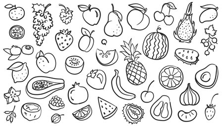 Doodle fruits. Hand drawn pineapple, strawberry and banana, apple and lemon, kiwi and pear, peach and watermelon, grape and cherry, orange. Vintage sketch fruit vector isolated setのイラスト素材