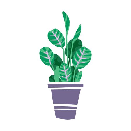 House plant in pot. Beautiful hand drawn isolated vector illustration with Maranta. Home decor and gardening. Floristic concept. Indoor botany. Modern design element.のイラスト素材