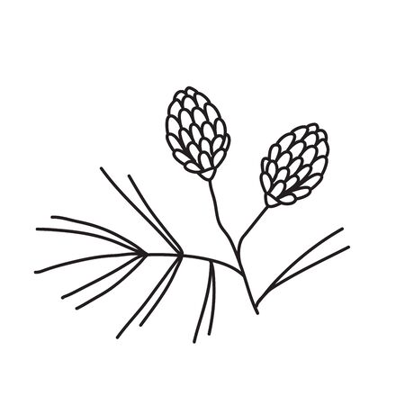 Vector stock illustration with single object: plant, hand drawn, doodle style. Sample element isolated on white. Line contour, outline.のイラスト素材