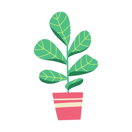 House plant in pot. Beautiful hand drawn isolated vector illustration with Fiddle-leaf fig. Home decor and gardening. Floristic concept. Indoor botany. Modern design element.のイラスト素材