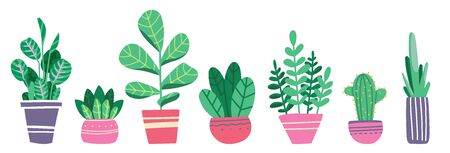 House plants in pots and vases. Beautiful hand drawn isolated element vector set. Home decor and gardening. Floristic concept. Indoor botany. Modern design elements. House flowers.のイラスト素材