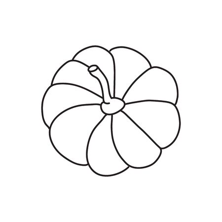 Vector stock illustration with single object: food, hand drawn, doodle style. Sample element isolated on white. Line contour, outline.のイラスト素材
