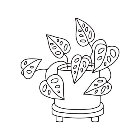 Vector stock illustration with single object: , home plant, hand drawn, doodle style. Sample element isolated on white. Line contour, outline.のイラスト素材