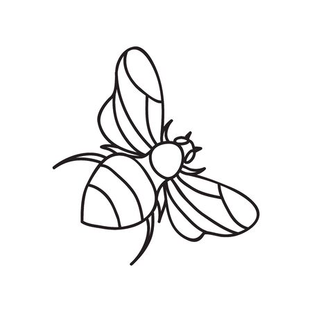 Vector stock illustration with single object: insects, hand drawn, doodle style. Sample element isolated on white. Line contour, outline.のイラスト素材