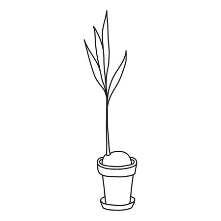 Vector stock illustration with single object: , home plant, hand drawn, doodle style. Sample element isolated on white. Line contour, outline.のイラスト素材