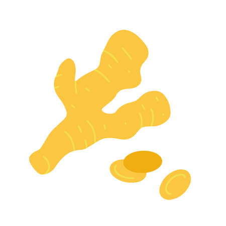 Piece of ginger isolated on white background. Flat cartoon vector illustration, hand drawn style.のイラスト素材