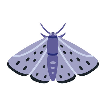 Night moth, insect with wings, cartoon style. Trendy modern vector illustration isolated on white background, hand drawn, flat design.のイラスト素材