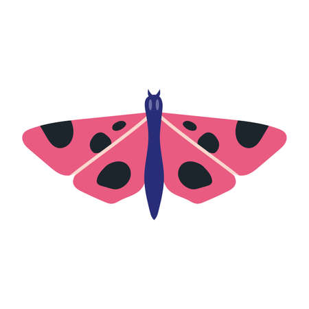 Butterfly, moth, insect with wings, cartoon style. Trendy modern vector illustration isolated on white background, hand drawn, flat design.のイラスト素材