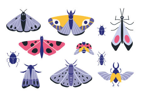 Collection of exotic butterflies, moths and bugs, cartoon style. Set of insects. Trendy modern vector illustration isolated on white background, hand drawn, flat design.のイラスト素材